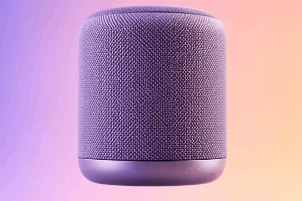 Nomad Portable Speaker